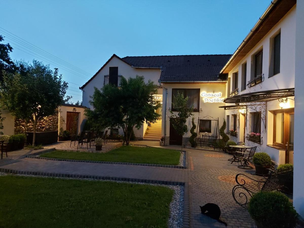 Conacul Poetilor Hotell Gura Rîului Exteriör bild